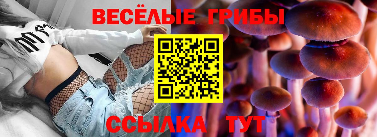 Аргун  Псилоцибиновые грибы MAGIC MUSHROOMS  Вход с VPN 