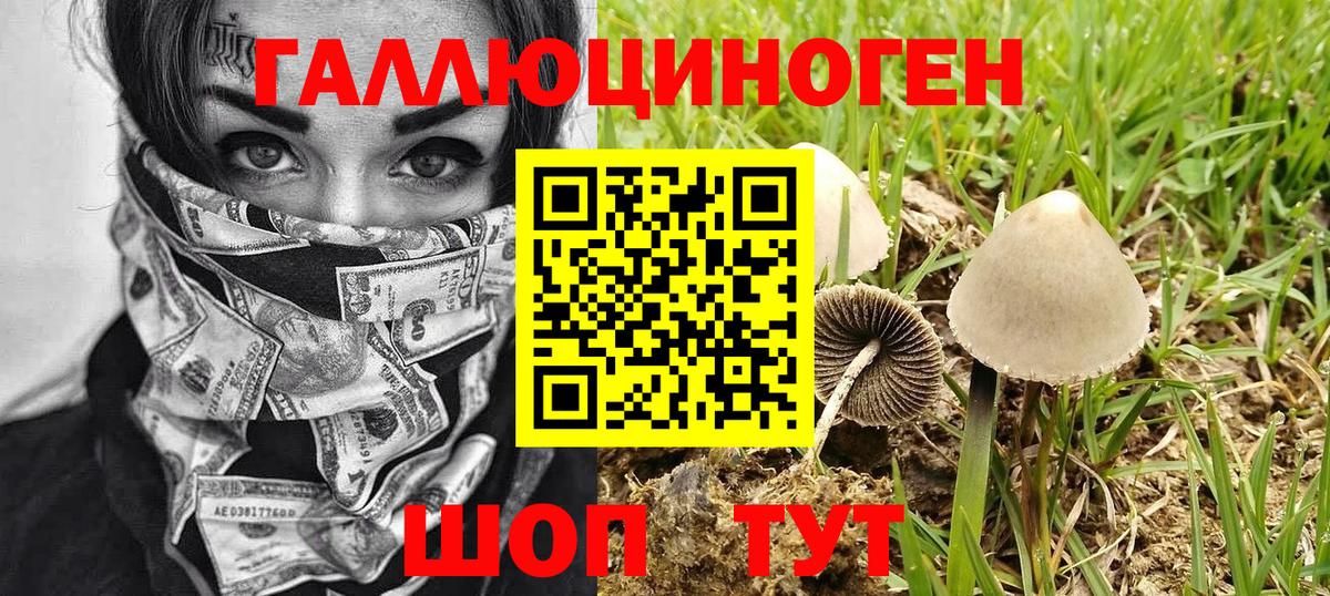 Псилоцибиновые грибы мицелий Аргун